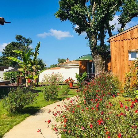 Les Petits Chalets De Kzo La Teste-de-Buch Exteriör bild