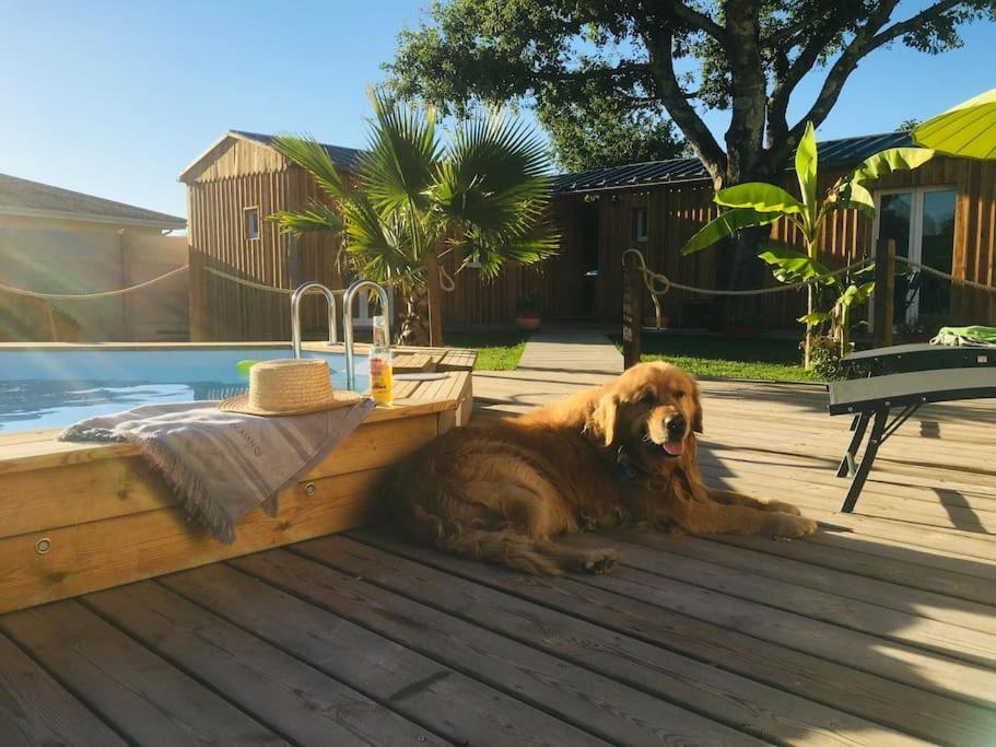 Les Petits Chalets De Kzo La Teste-de-Buch Exteriör bild