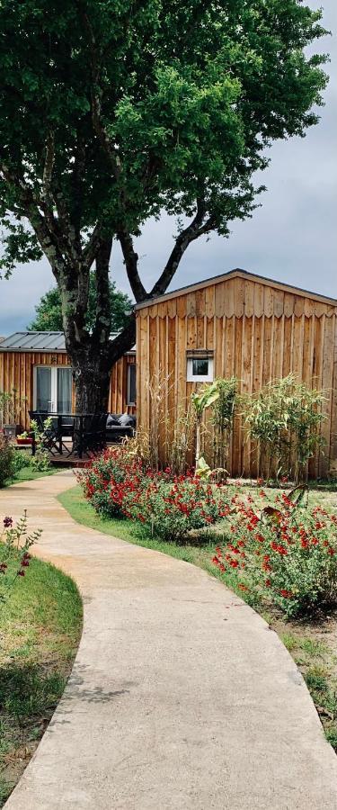 Les Petits Chalets De Kzo La Teste-de-Buch Exteriör bild